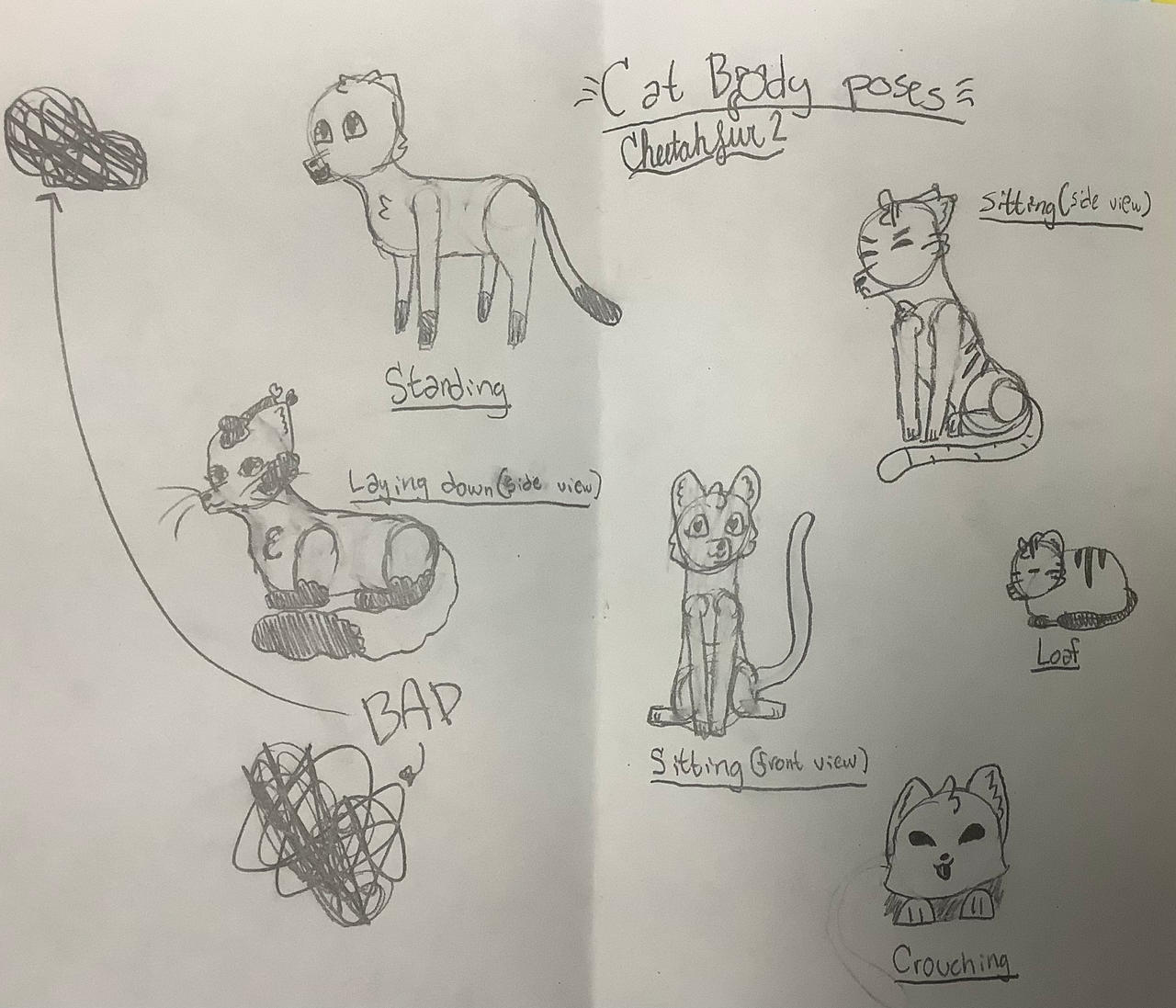 Cat body poses sketch by DarkAbyss-2 on DeviantArt