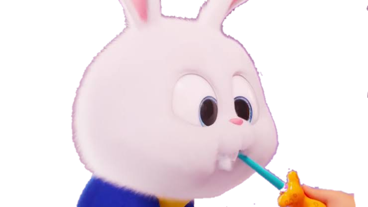 Capitan snowball by fanmmsskittles on DeviantArt