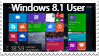 Windows 8.1 User Stamp