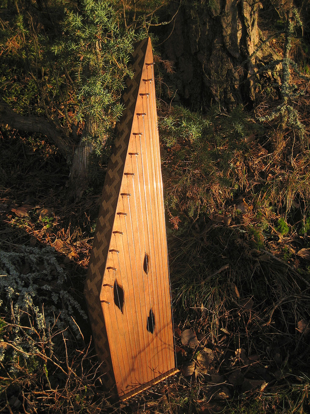 Zither 4