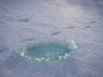 Broken bus stand glass vat