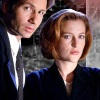 X files icon