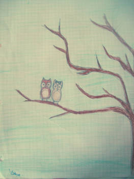 Owlies