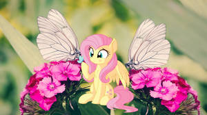 Little Butterfly Friend by Creativa-Artly01 Little Butterfly Friend by Creativa-Artly01