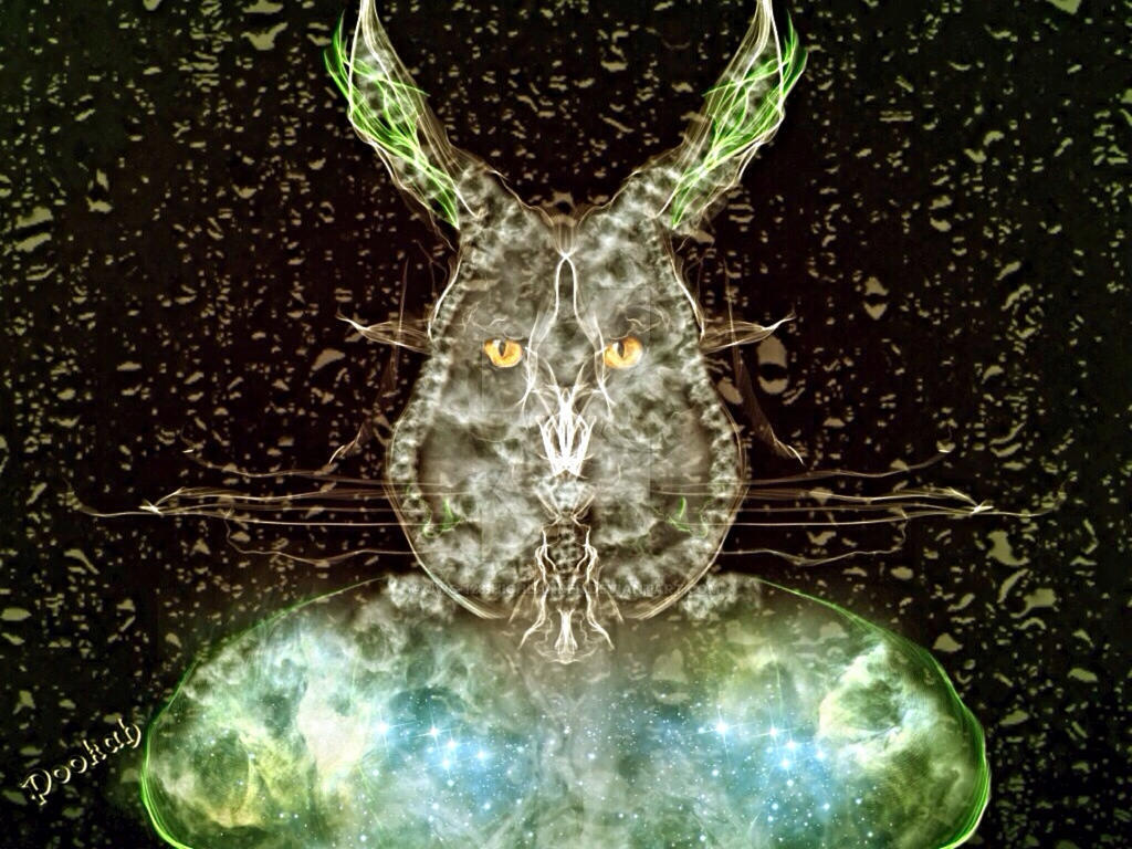 Pookah by JWG-123-highlander on DeviantArt