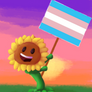 Sunflower supports trans rights