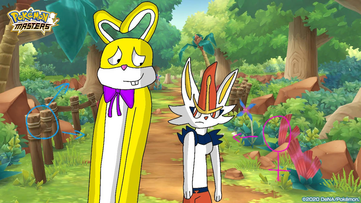 lucky rabbit and cinderace by Noahgrajeda on DeviantArt