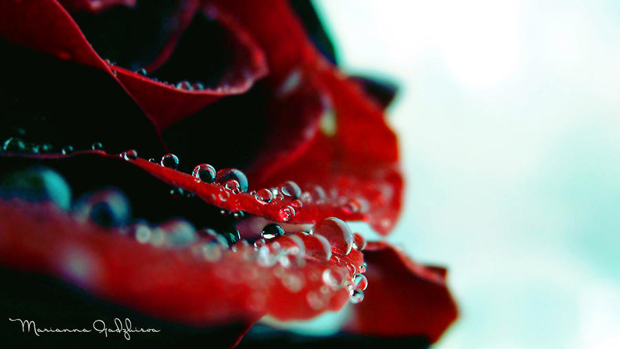 Brilliants by Marianna9