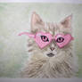 Sunglasses Cat