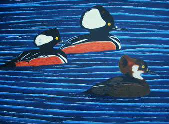 Hooded Mergansers