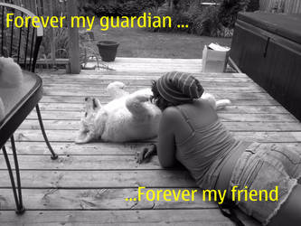 forever my guardian ...forever my friend...