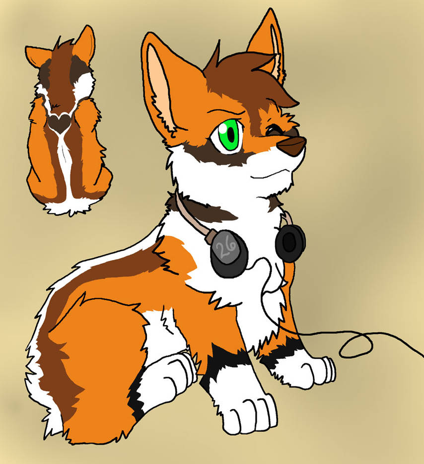 Cute Corgi Design by Firewolf-Anime on DeviantArt