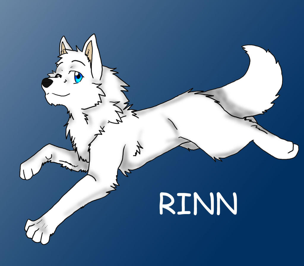 Rinn by Firewolf-Anime on DeviantArt