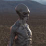 Area 51 Alien - The Exile