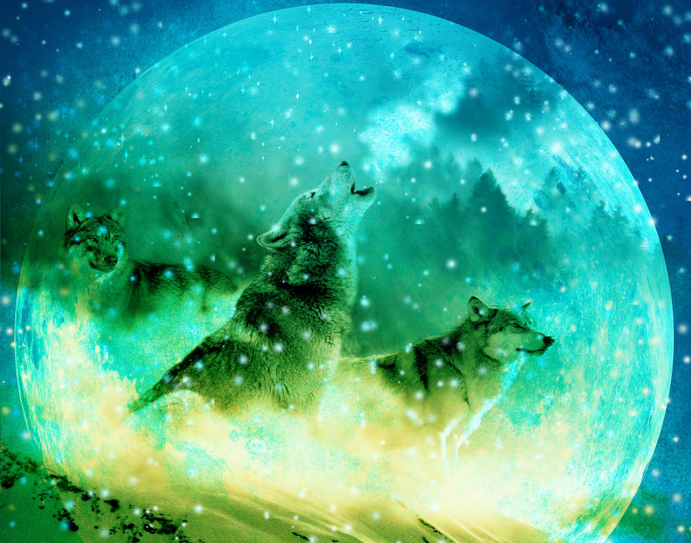 4 Wolves Moon Full Moon Wolves by ThomasHauser on DeviantArt