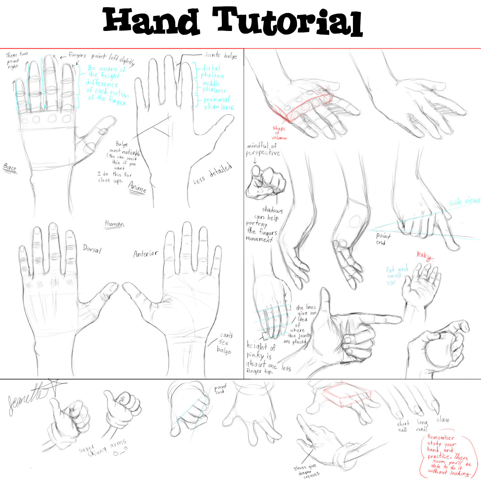 Tutorial How To Draw Anime Hand by art-germ on DeviantArt