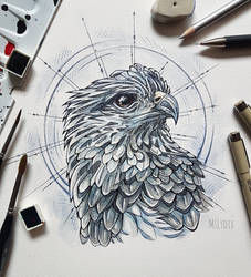 Grey Eagle Portrait