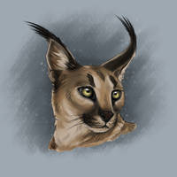 Digital Caracal Portrait