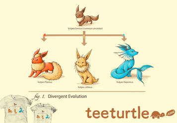 Divergent Evolution