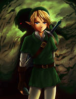 Link- Shadows of the Past