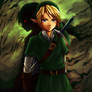 Link- Shadows of the Past