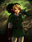 Link- Shadows of the Past by ramy