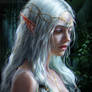 Fantasy Elf