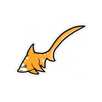 Creamsicle Shark