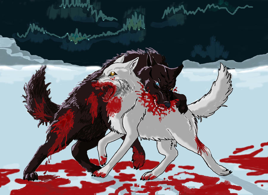 Final battle Darcia VS Kiba