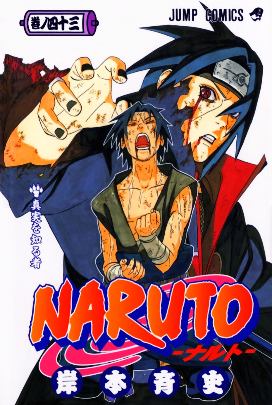 Naruto Manga Volume 43