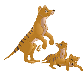 Thylacine mama and pups