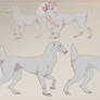 Unfinished Horse Species Concept - SALE OPEN