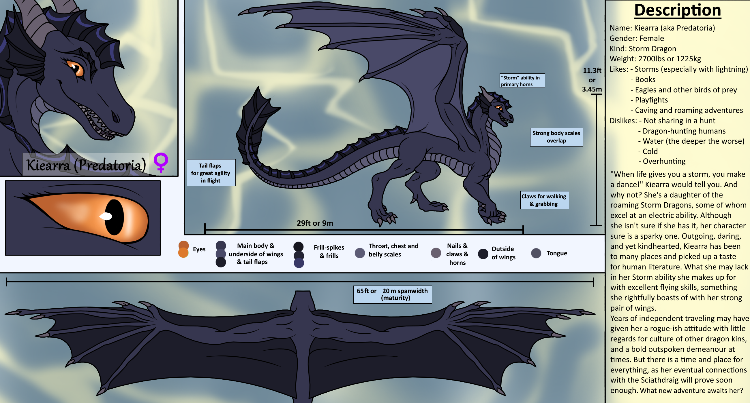 Kaiarga Evolution Kiearra (Predatoria) Ref Sheet by Skadvaengr on DeviantArt