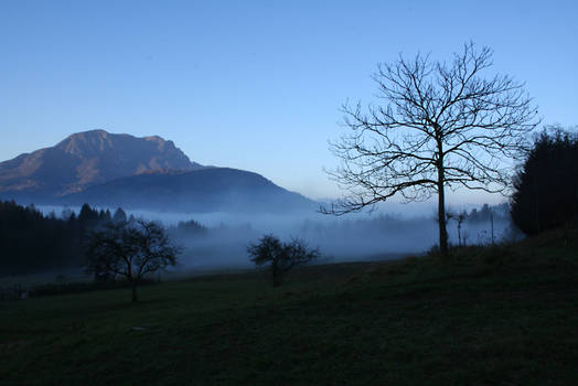 The Tree and the fog II