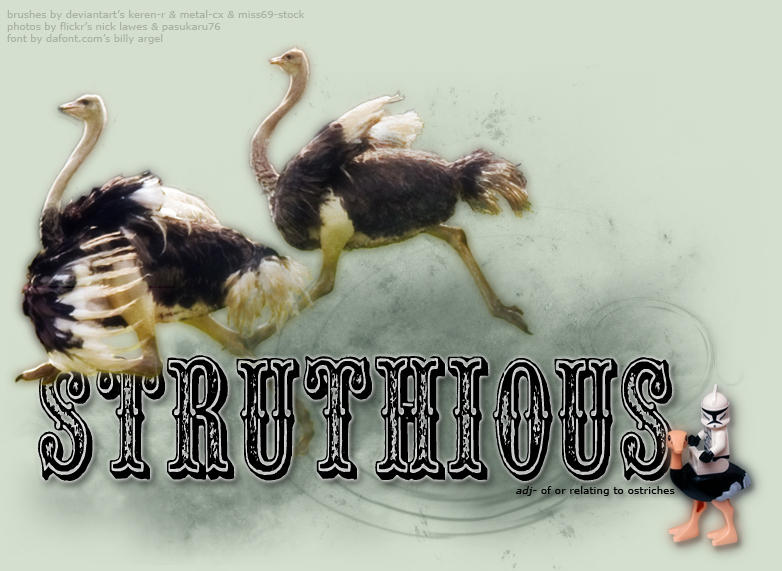 Struthious Struthious by lycilph on DeviantArt
