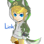 Link in hoodie