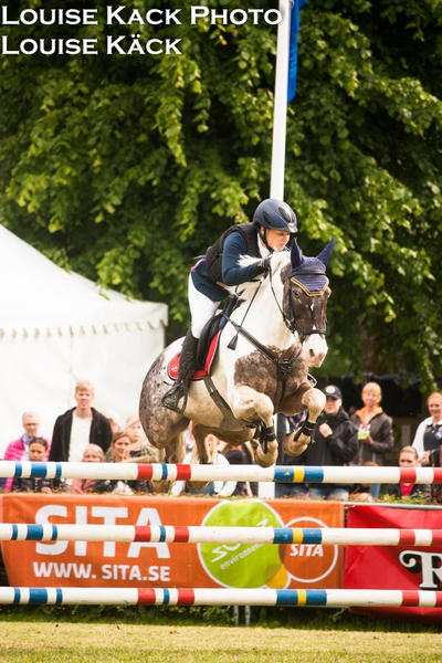 Showjumping