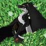 Cute lil drago