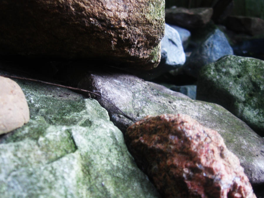 Chile Rocks Zoomed In Rocks Zoomed by naturalista37 on DeviantArt