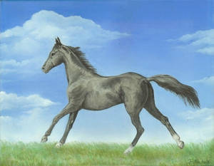 Horse Oil Painting by Tj