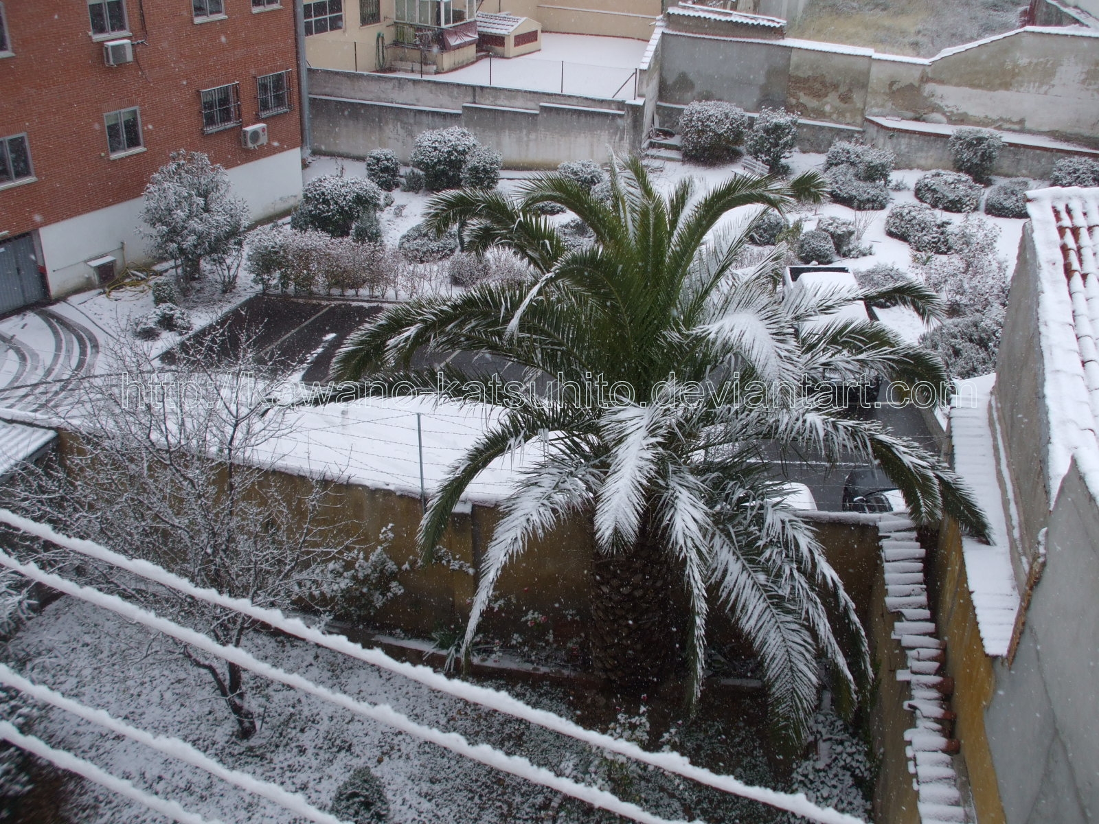 Snow in Madrid, 9-1-2009: 2