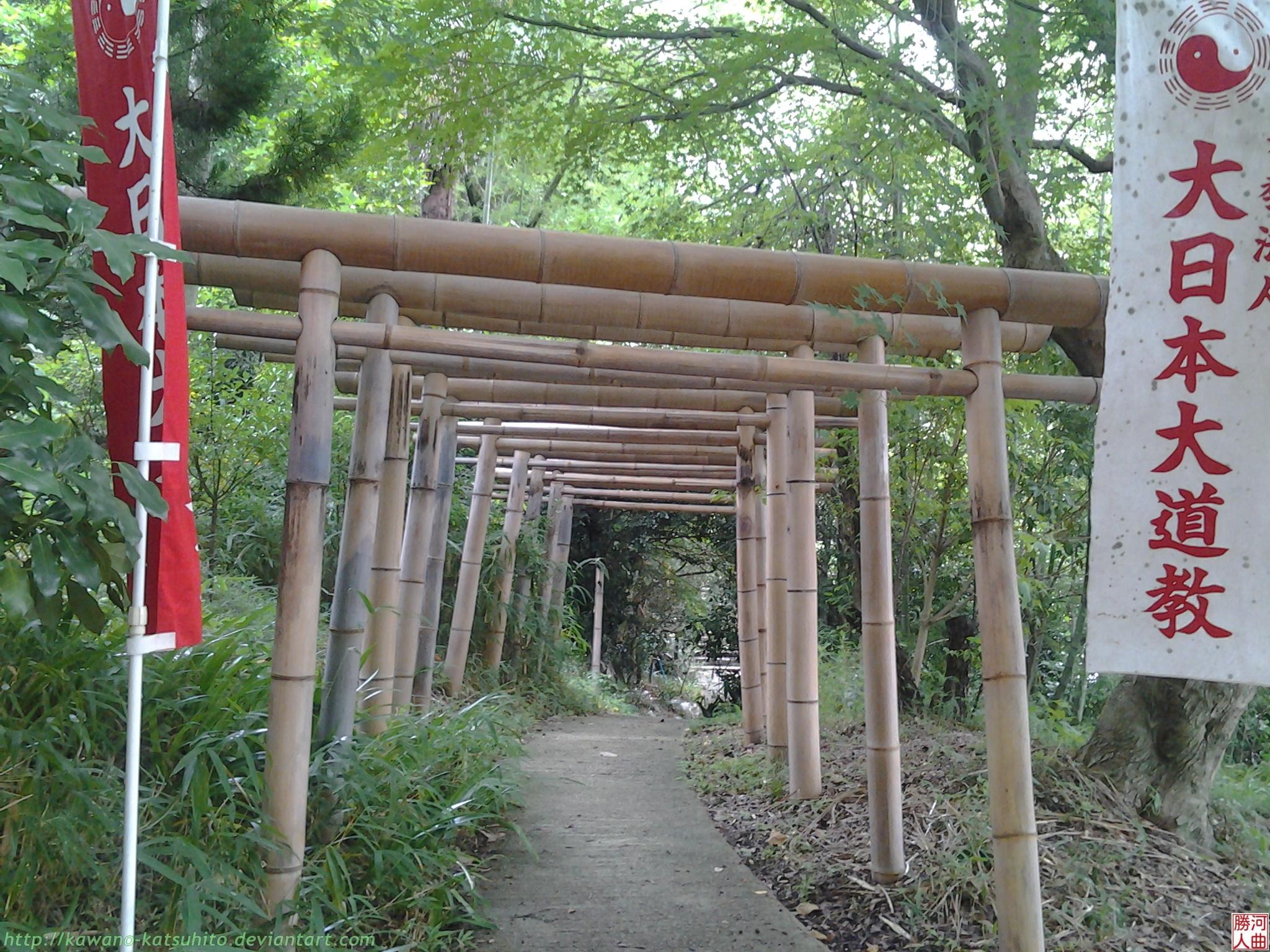 Tunnel of bamboo toriis