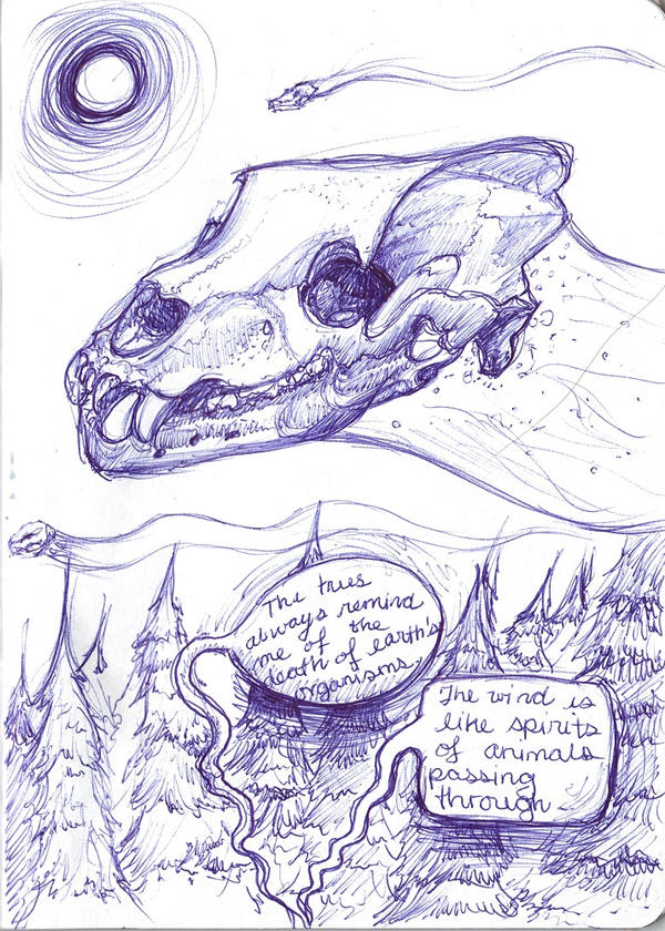 Sketchbook Project 2011 - Bear Skull Spirit