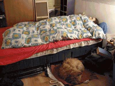 restless sleep animation by sevenths on DeviantArt