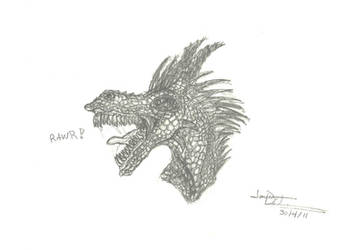 Dragon Head Sketch