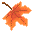 Autumn leaf - F2U