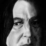 HP: Snape 2