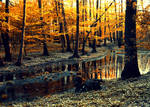 Golden grove by freshberries