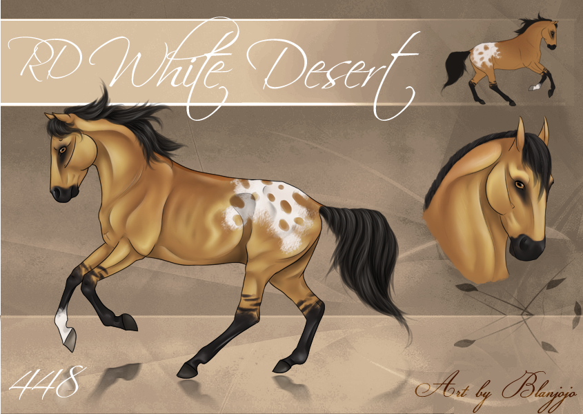 RD White Desert 448