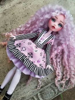 ooak/custom/repaint monster high doll